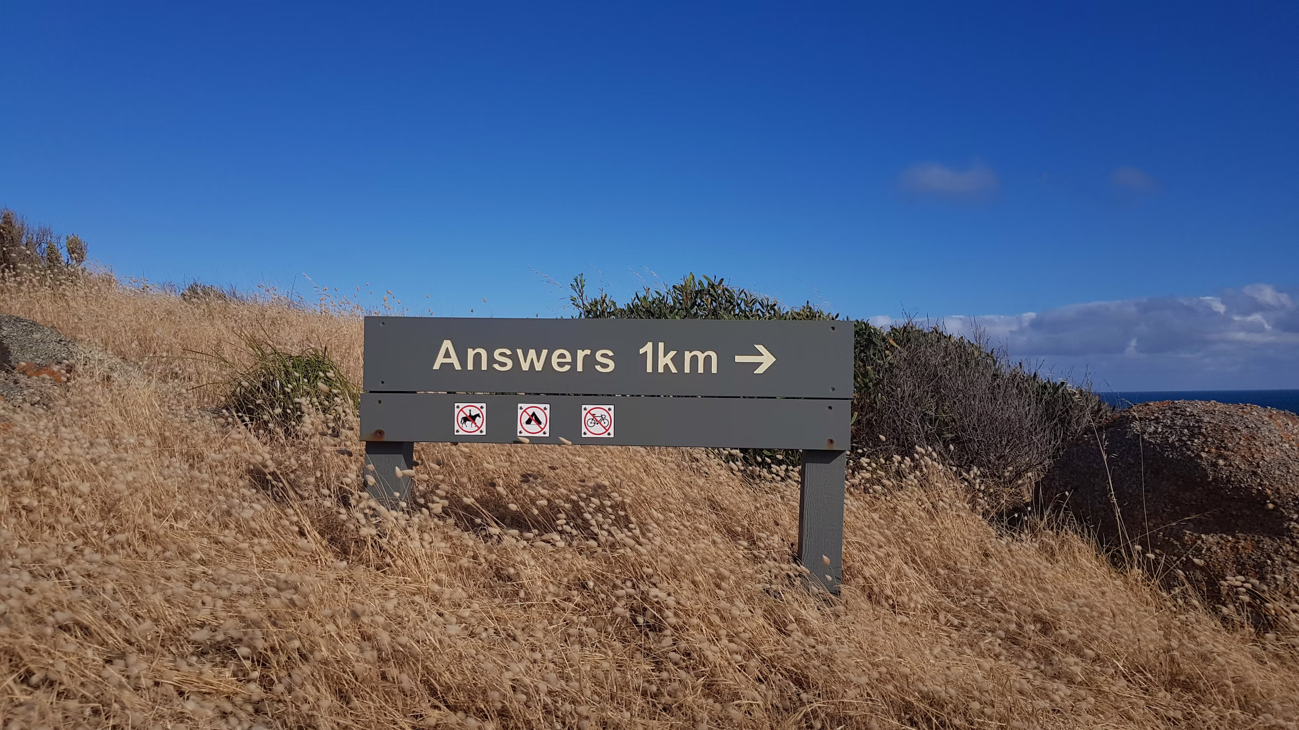 50 Great 1-1 Meeting Questions